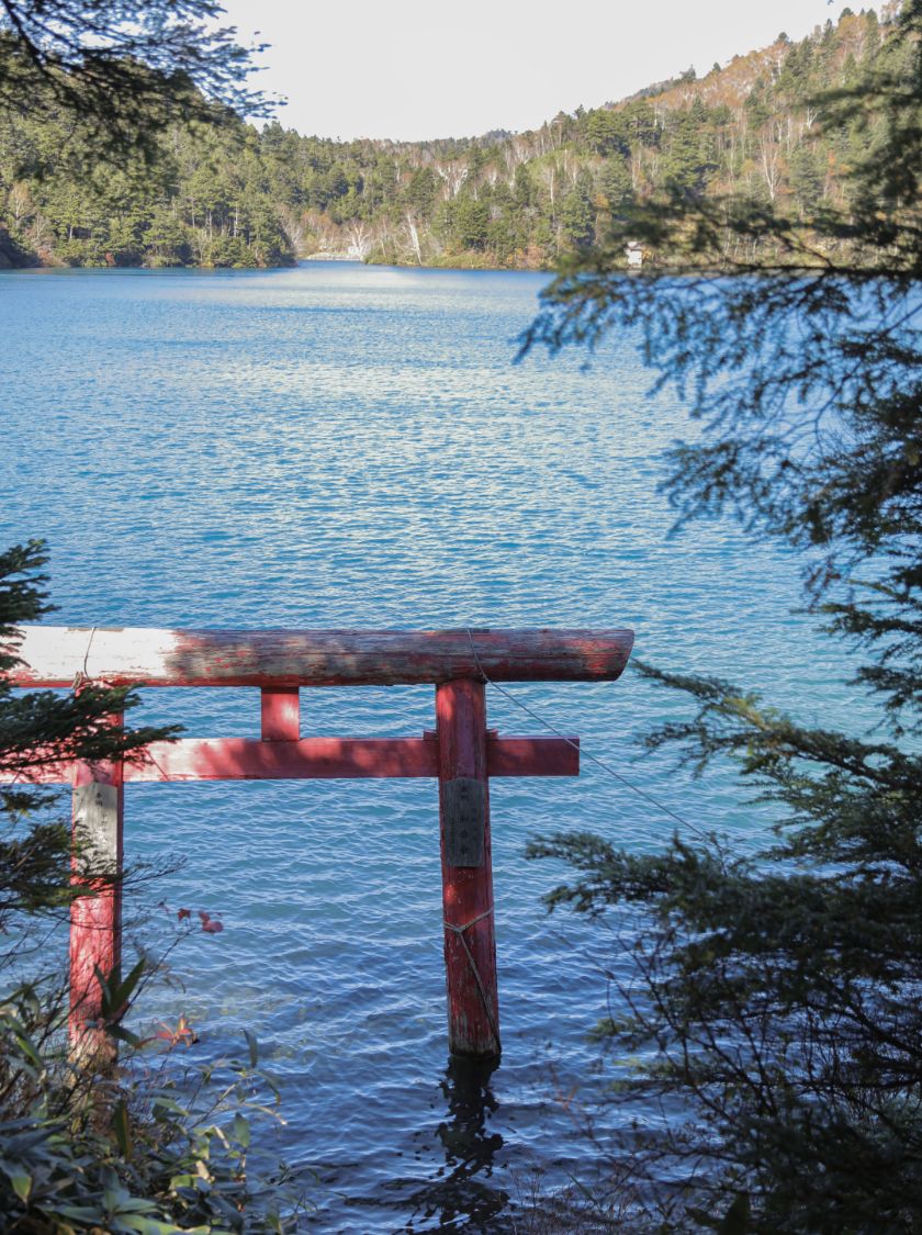 池のほとりでヨガ体験写真2