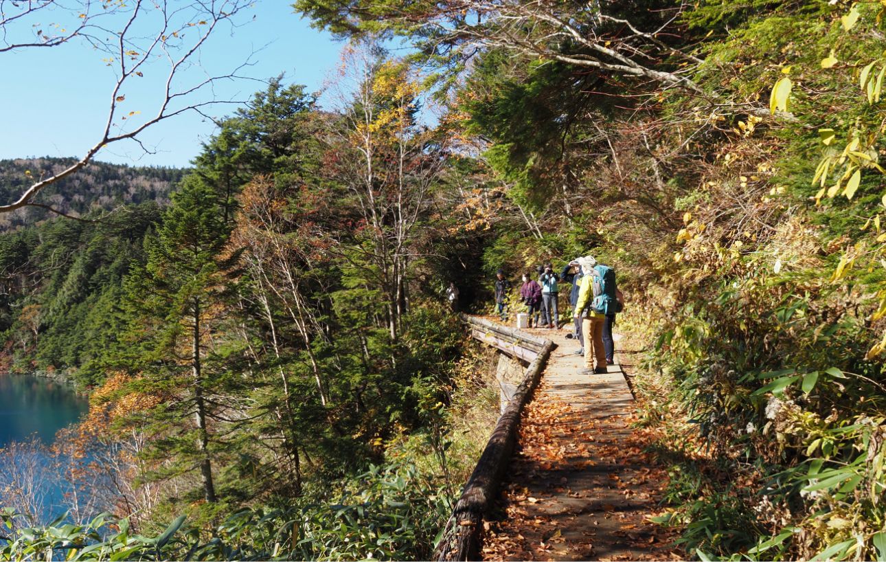 森林浴やトレッキングも楽しめる写真5