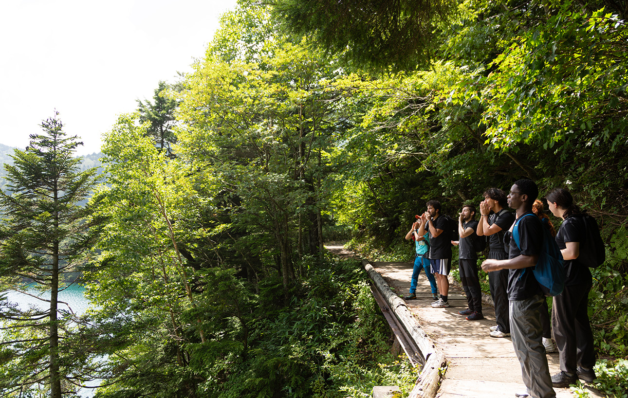 picture:You can also enjoy forest bathing and trekking.