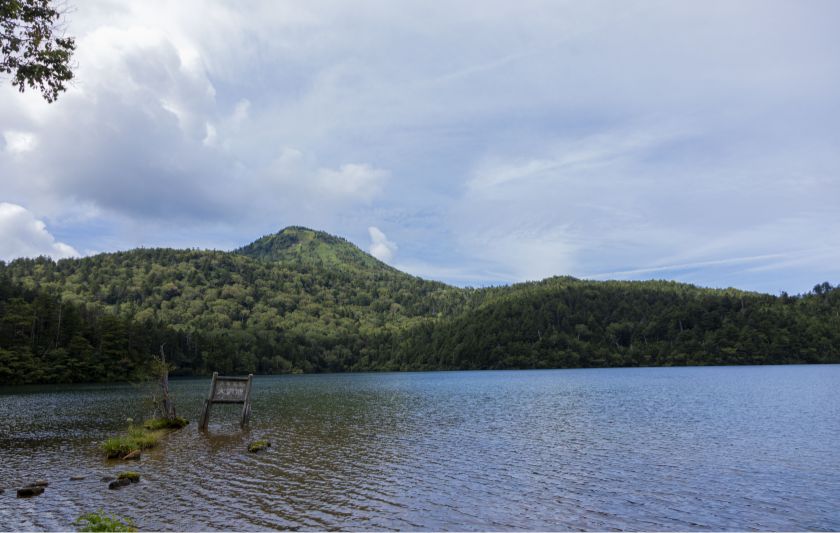 森林浴やトレッキングも楽しめる写真6