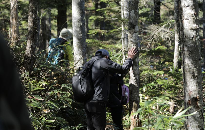 森林浴やトレッキングも楽しめる写真7