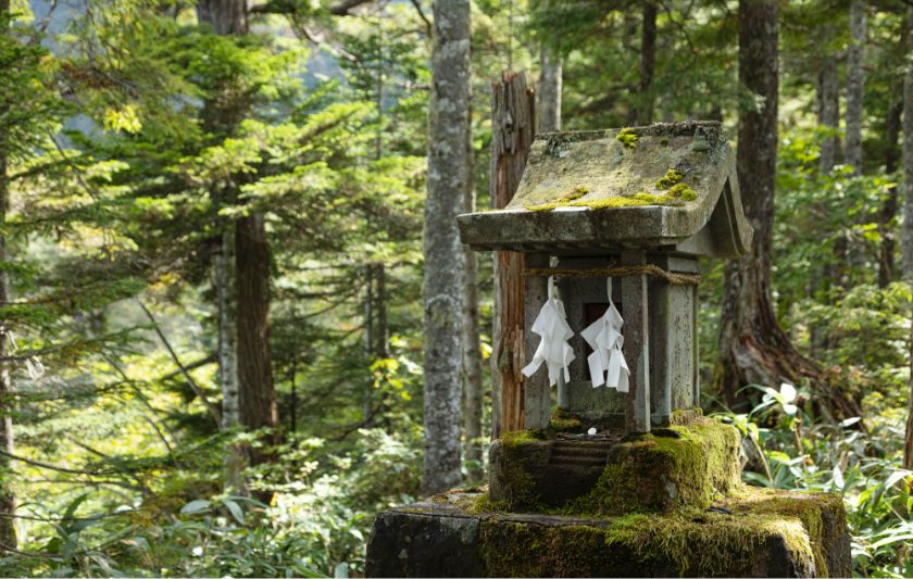 森林浴やトレッキングも楽しめる写真8