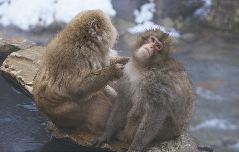 滞在中の楽しみ 写真3