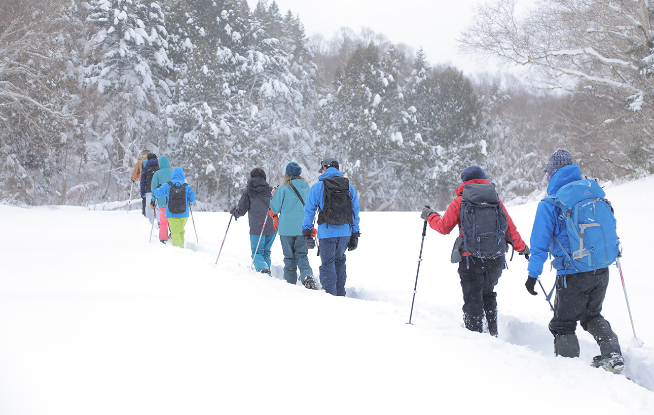 静寂の森で癒しを感じる 写真1