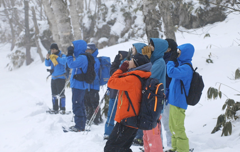 動植物たちの息遣いに耳を傾けて 写真2