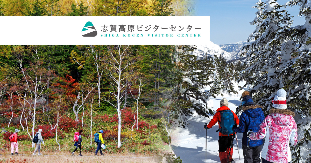 志賀高原-写真スポット, 山ノ内町-summer, trekking-志賀山に登ってみました