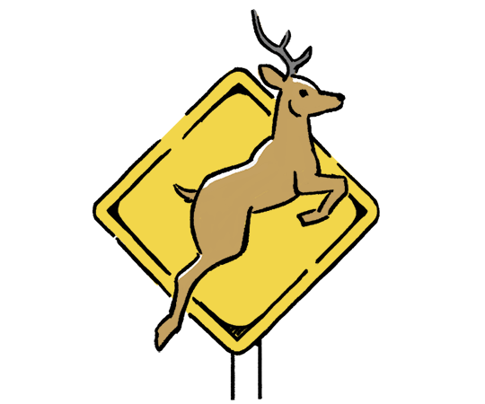 イメージ：道路の運転はゆっくりと