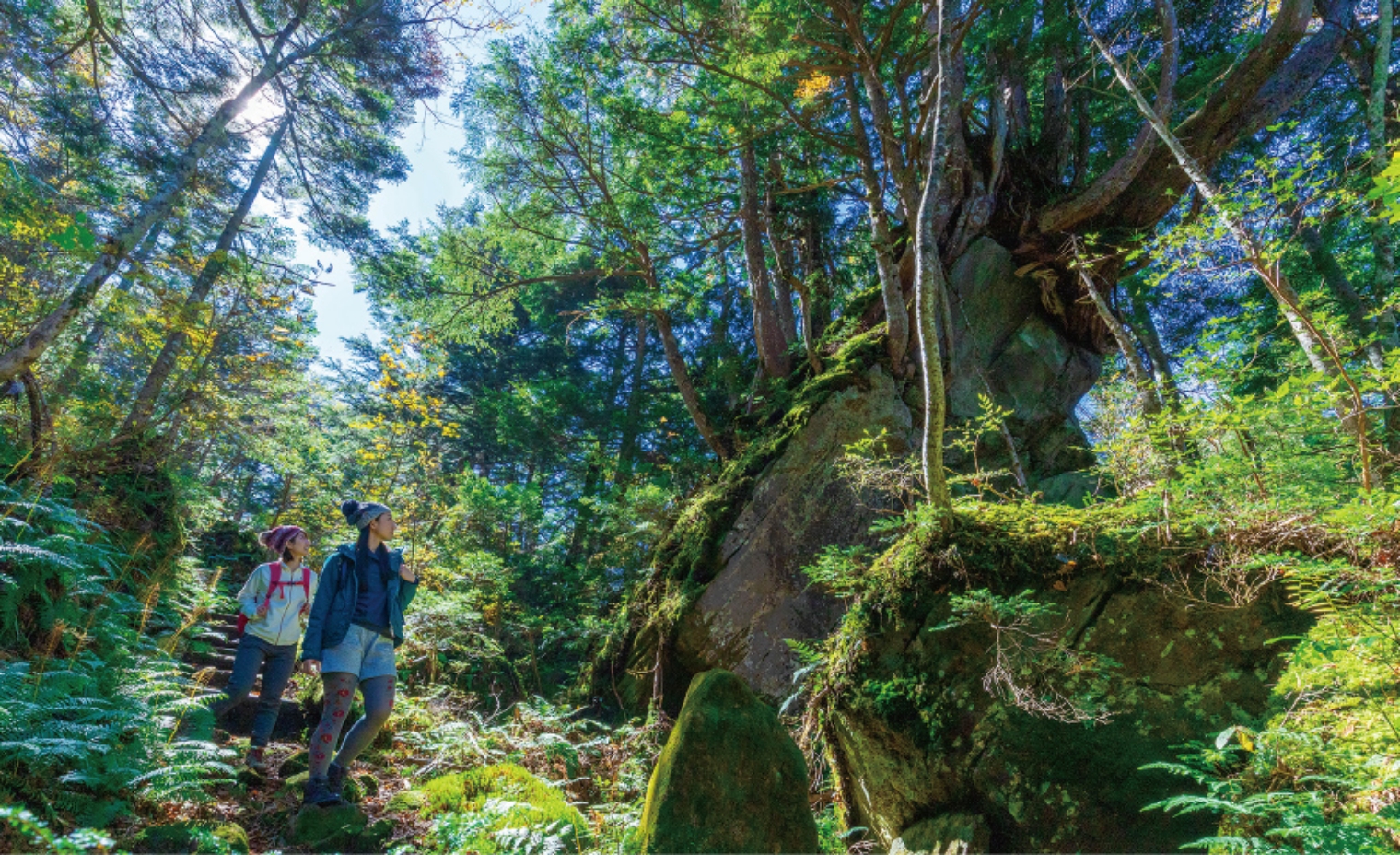 【学校・ツアー・研修などの団体様向け】夏期団体ガイド
