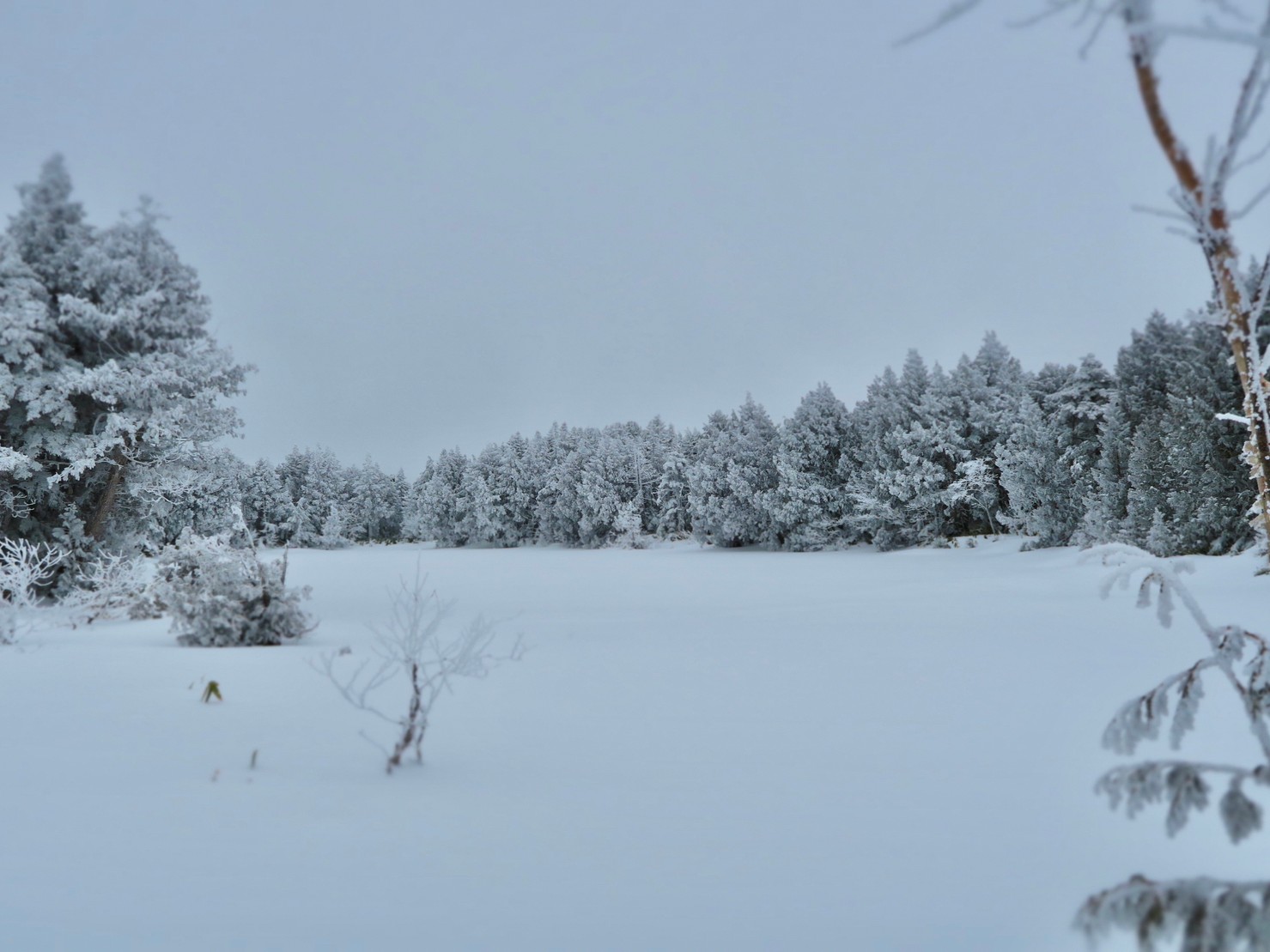 渋池・ひょうたん池へ下見へ行きました