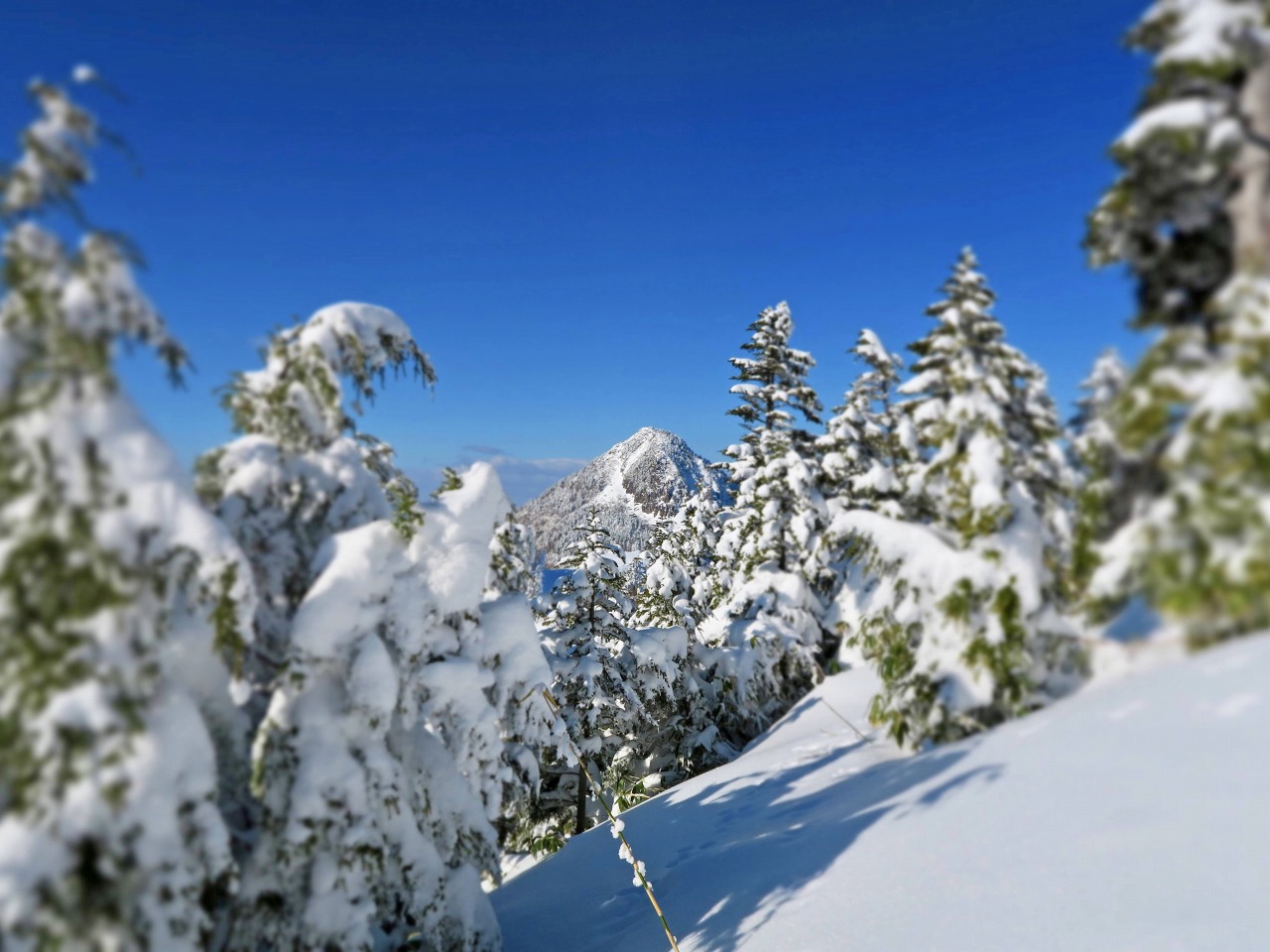 熊の湯へ下見へ行きました