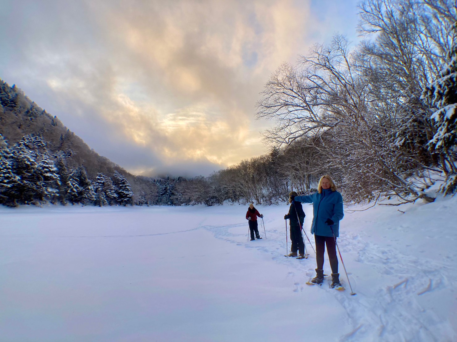 原生林へ　explores primitive forest
