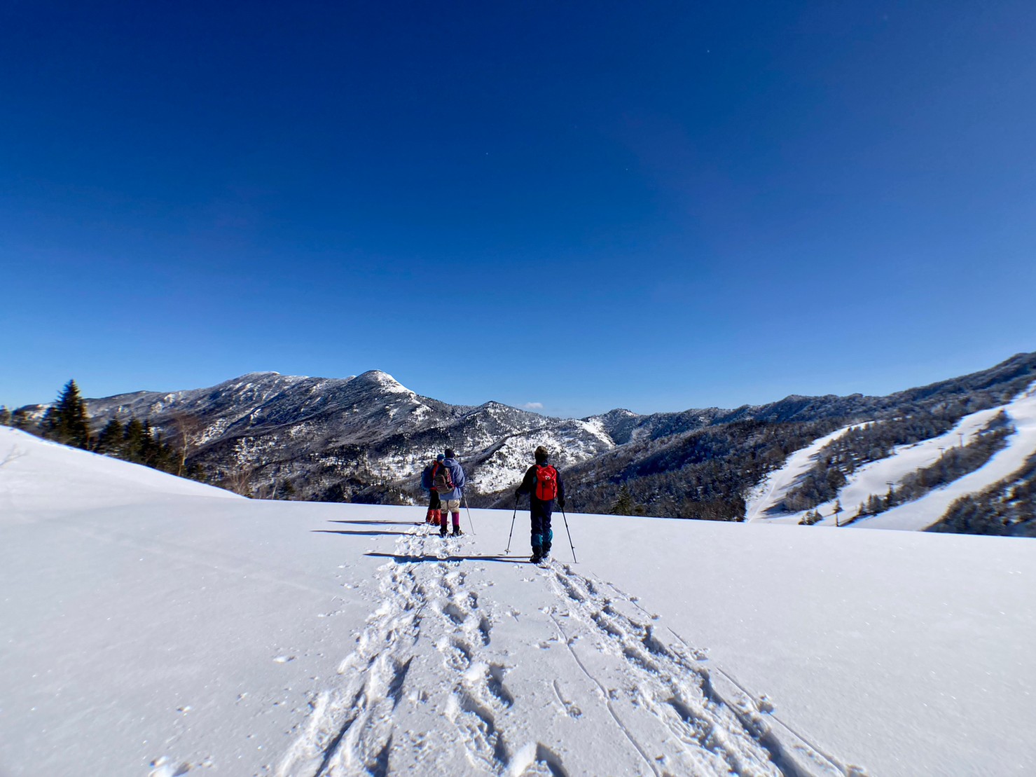 楽々山頂スノーシューガイド3　Snowshoe Mountain Top Group Tour report