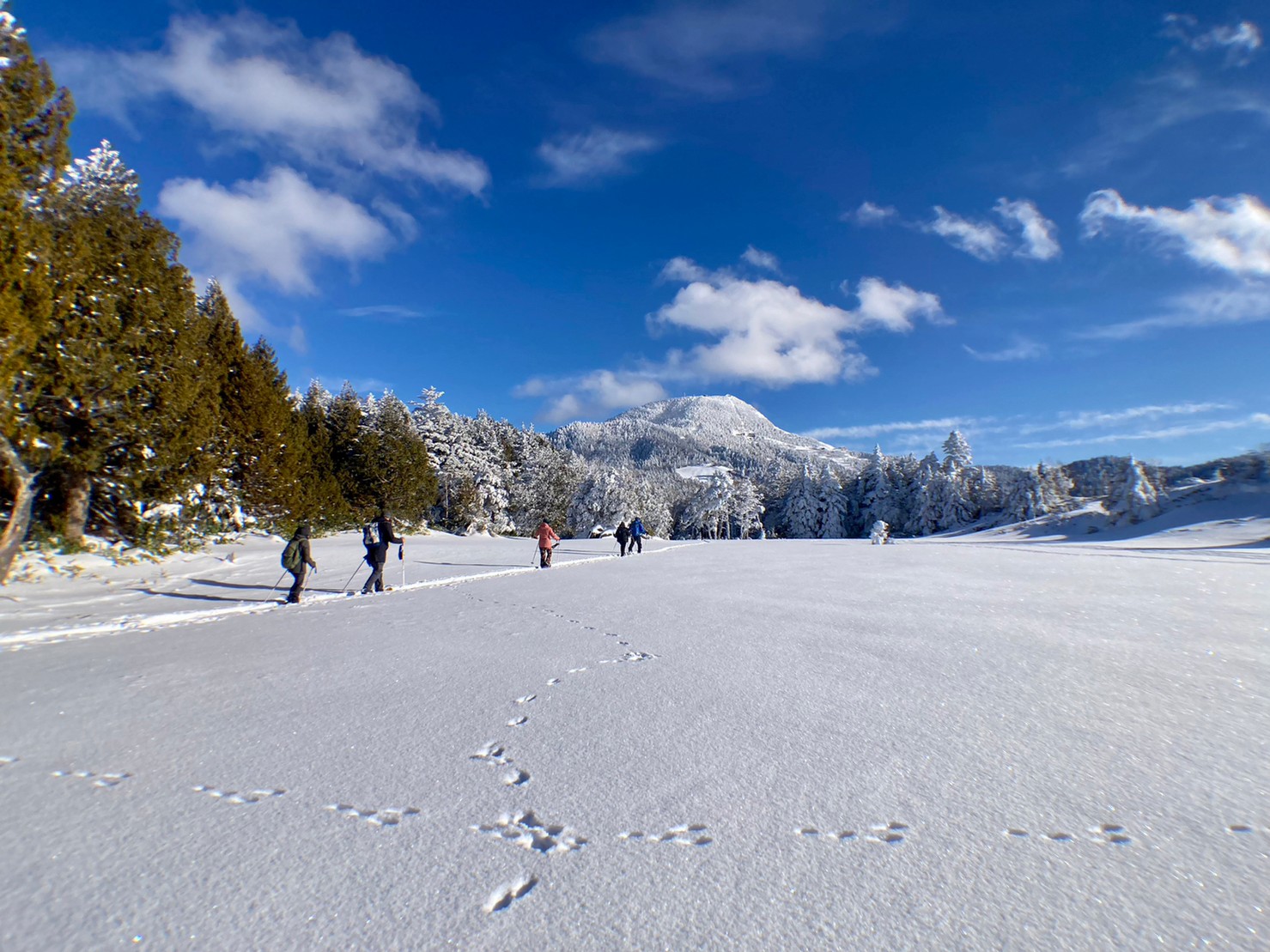 プライベートガイド渋池 “Snowshoeing in Shibuike”
