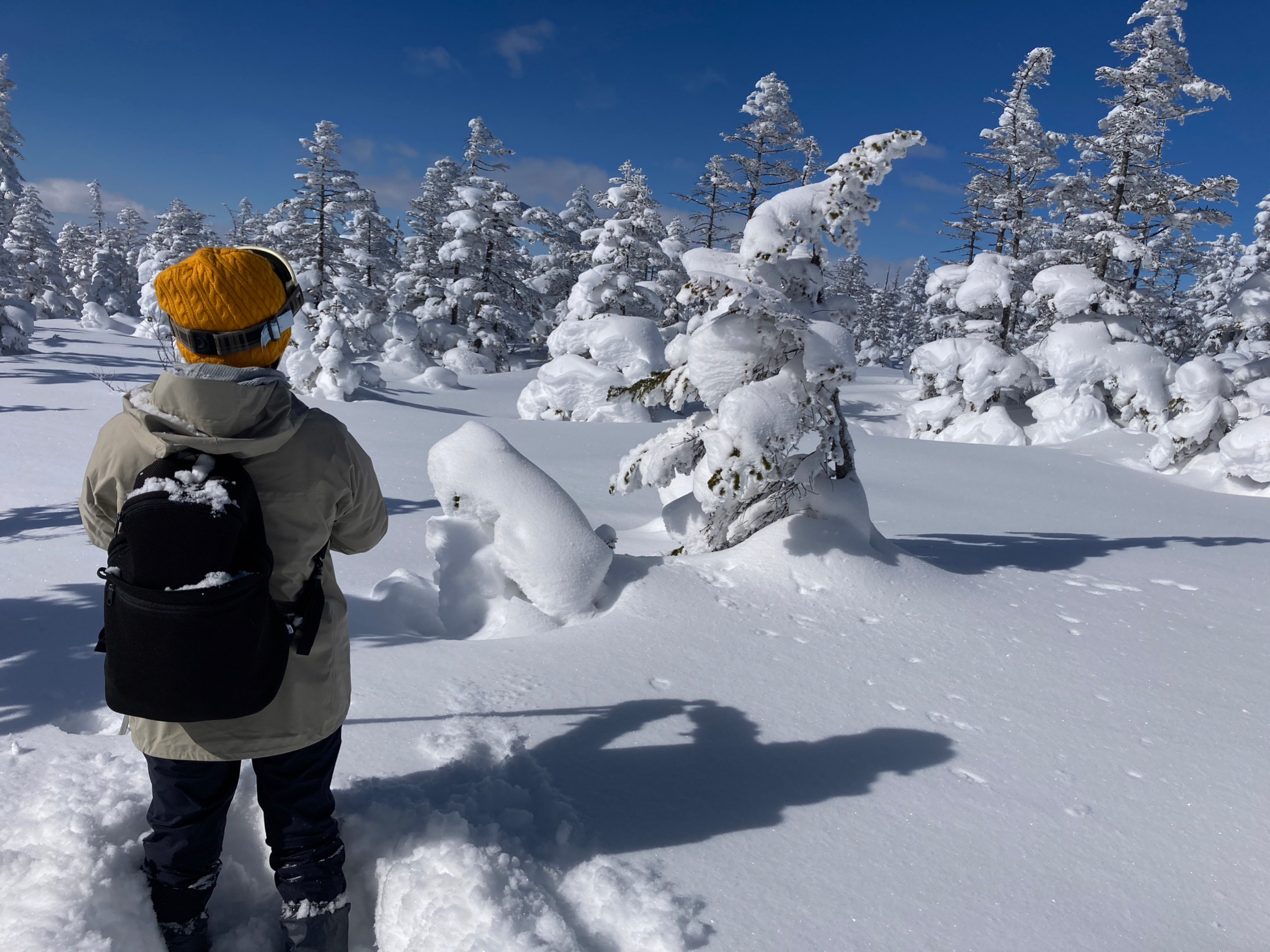 楽々山頂スノーシューガイド7