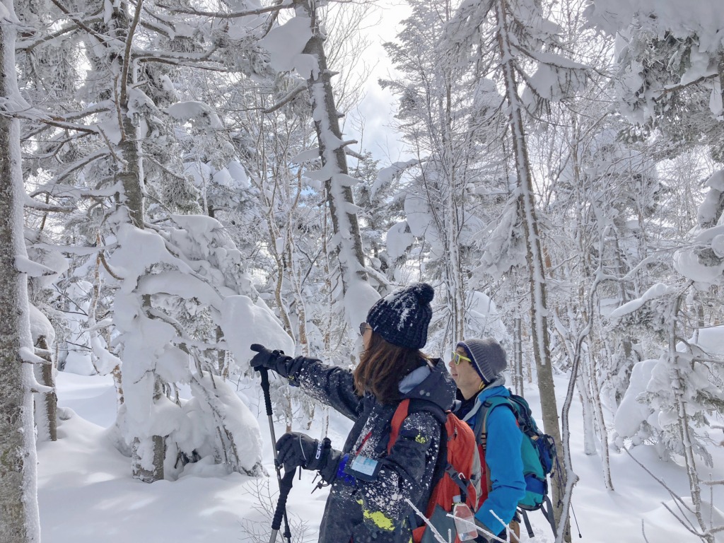 楽々山頂スノーシューガイド11　Snowshoe Mountain Top Group Tour report