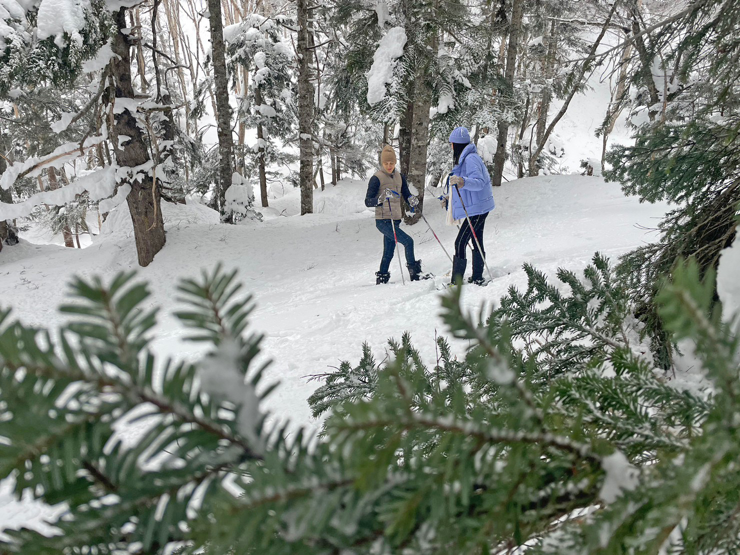 初めてスノーシュー3　2 Hours Group Tour report