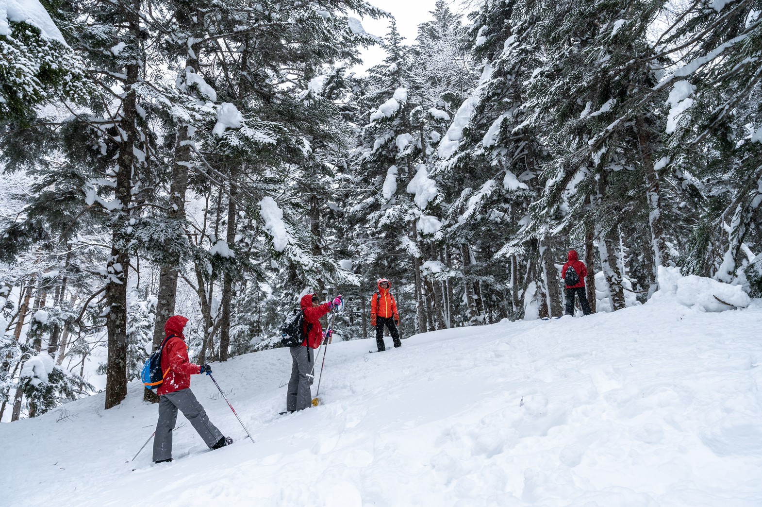 初めてスノーシュー4　2 Hours Group Tour report