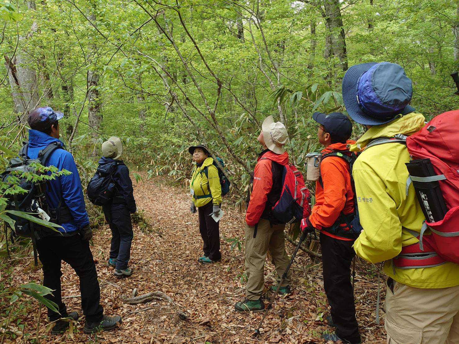 ガイドトレーニング