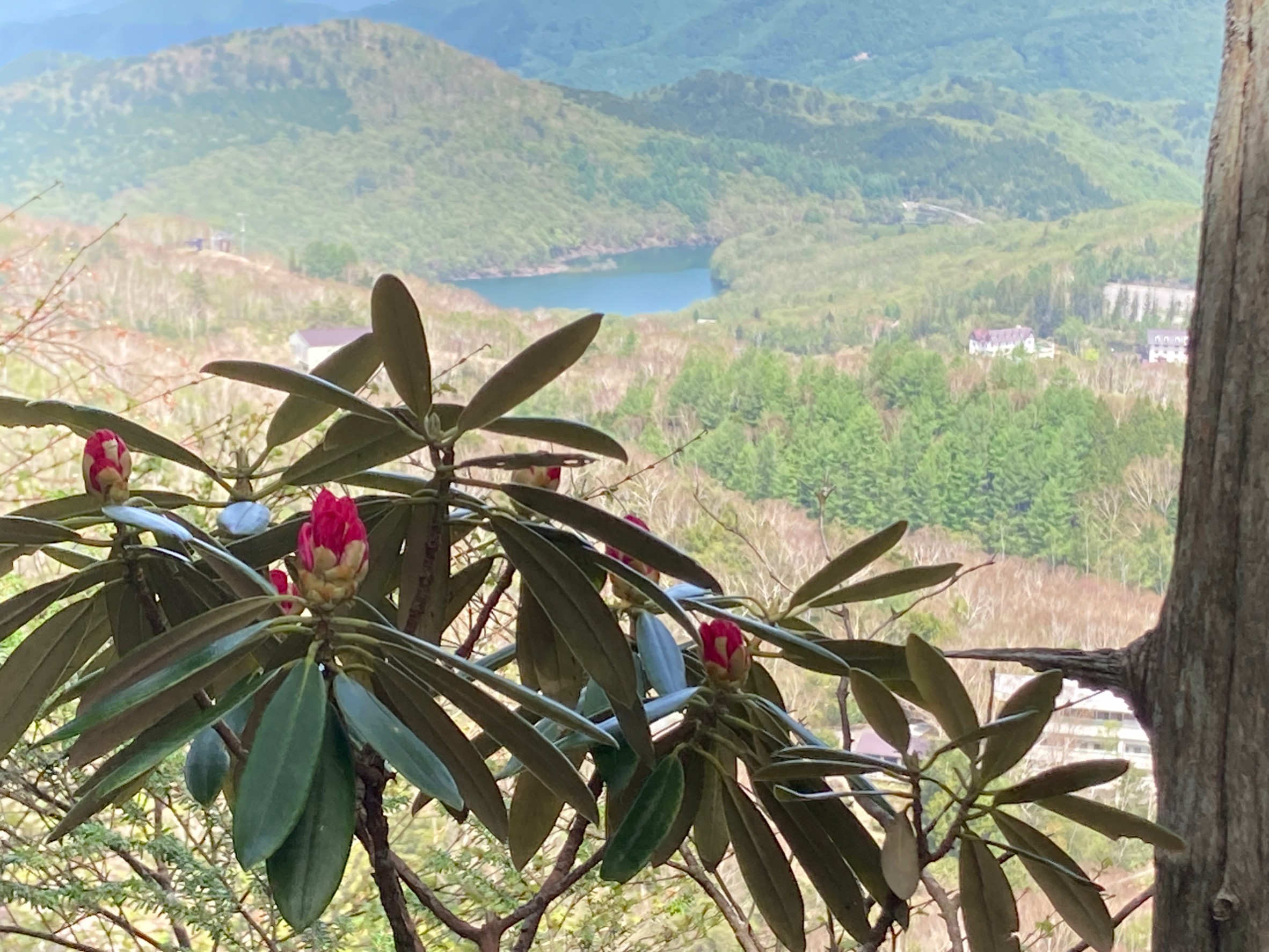 5/21トレッキングコース状況④/Trail Conditions