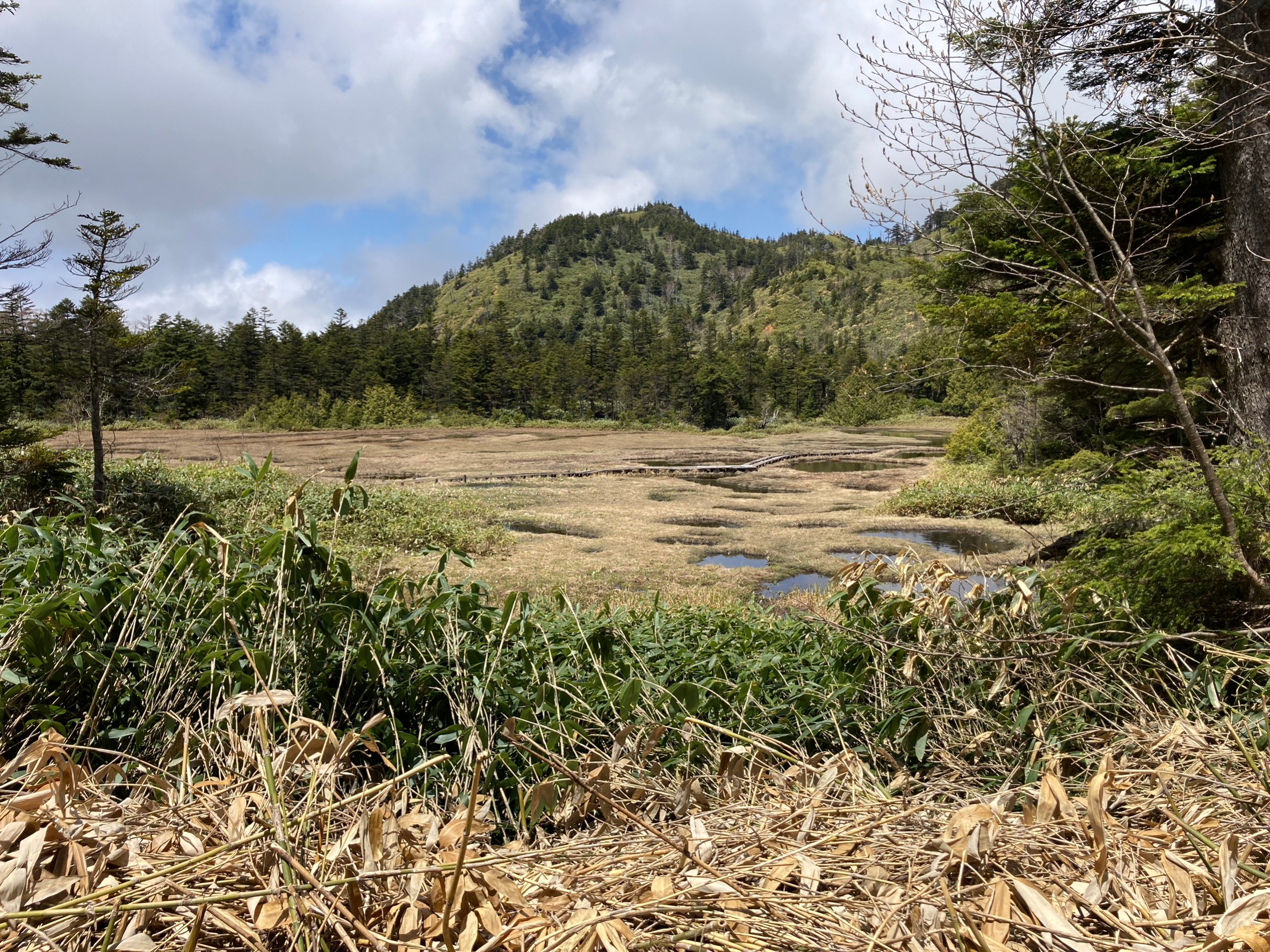5/20トレッキングコース状況②/Trail Conditions
