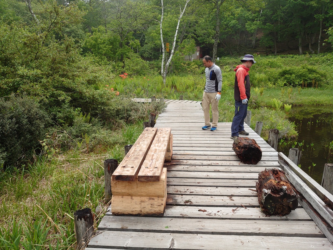 ベンチ修繕報告/Work Report