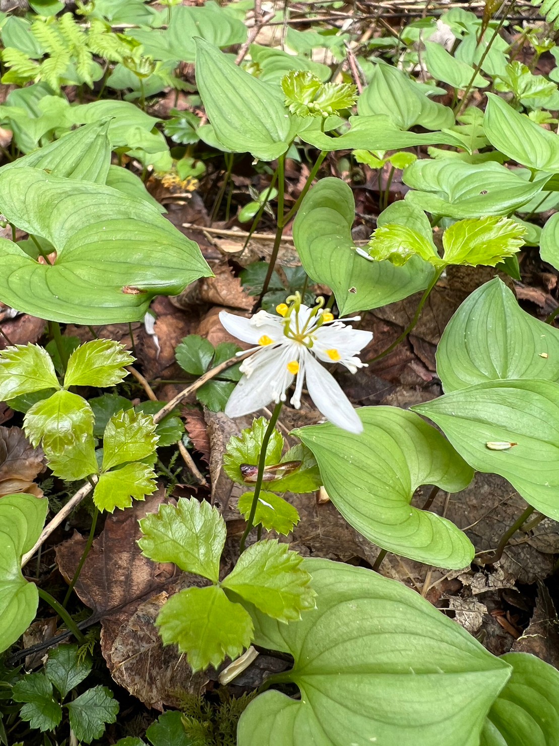 信州大学自然教育園/Shinshu University Natural Education Center.