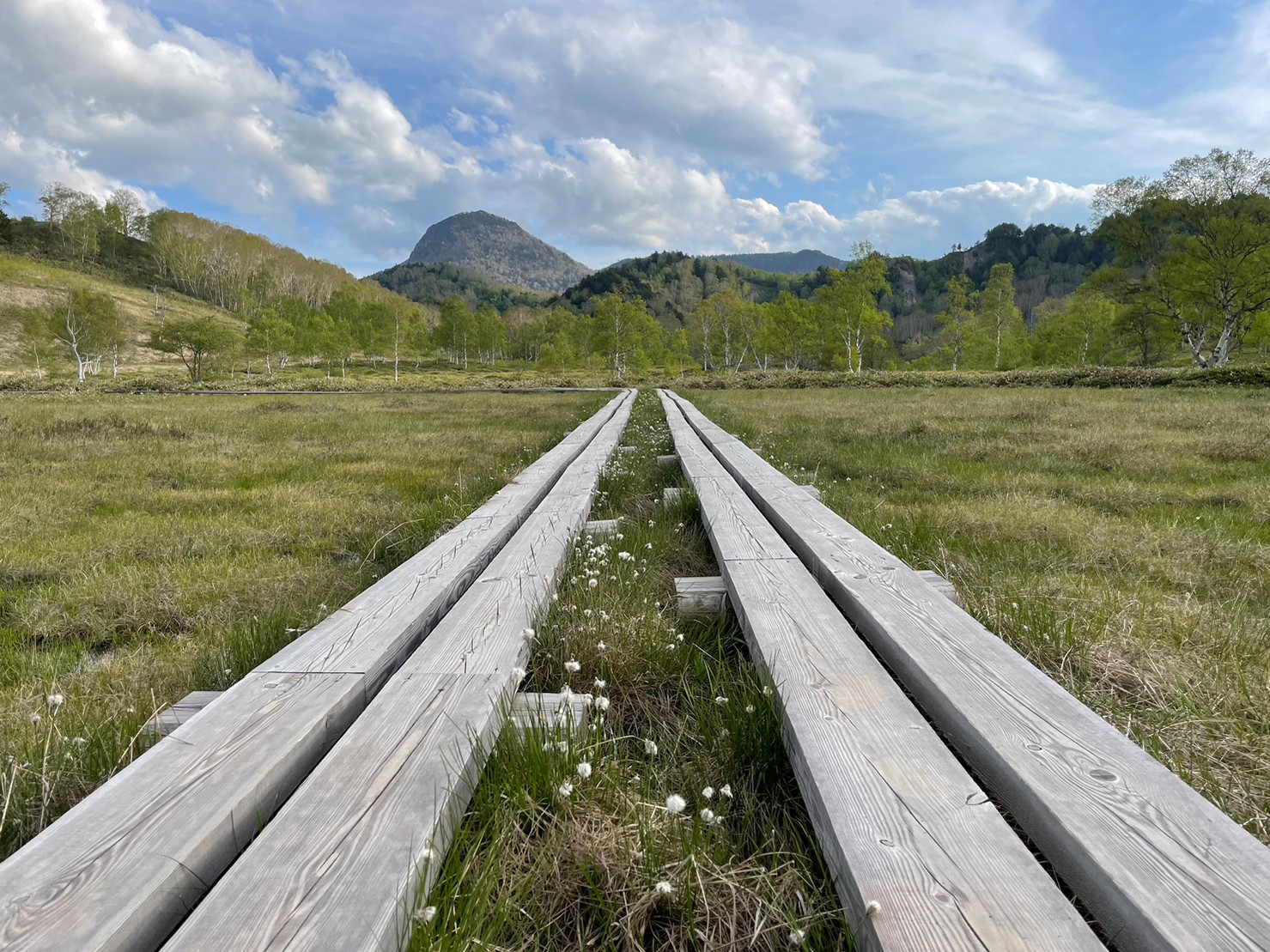 田ノ原湿原/Tahara Wetland