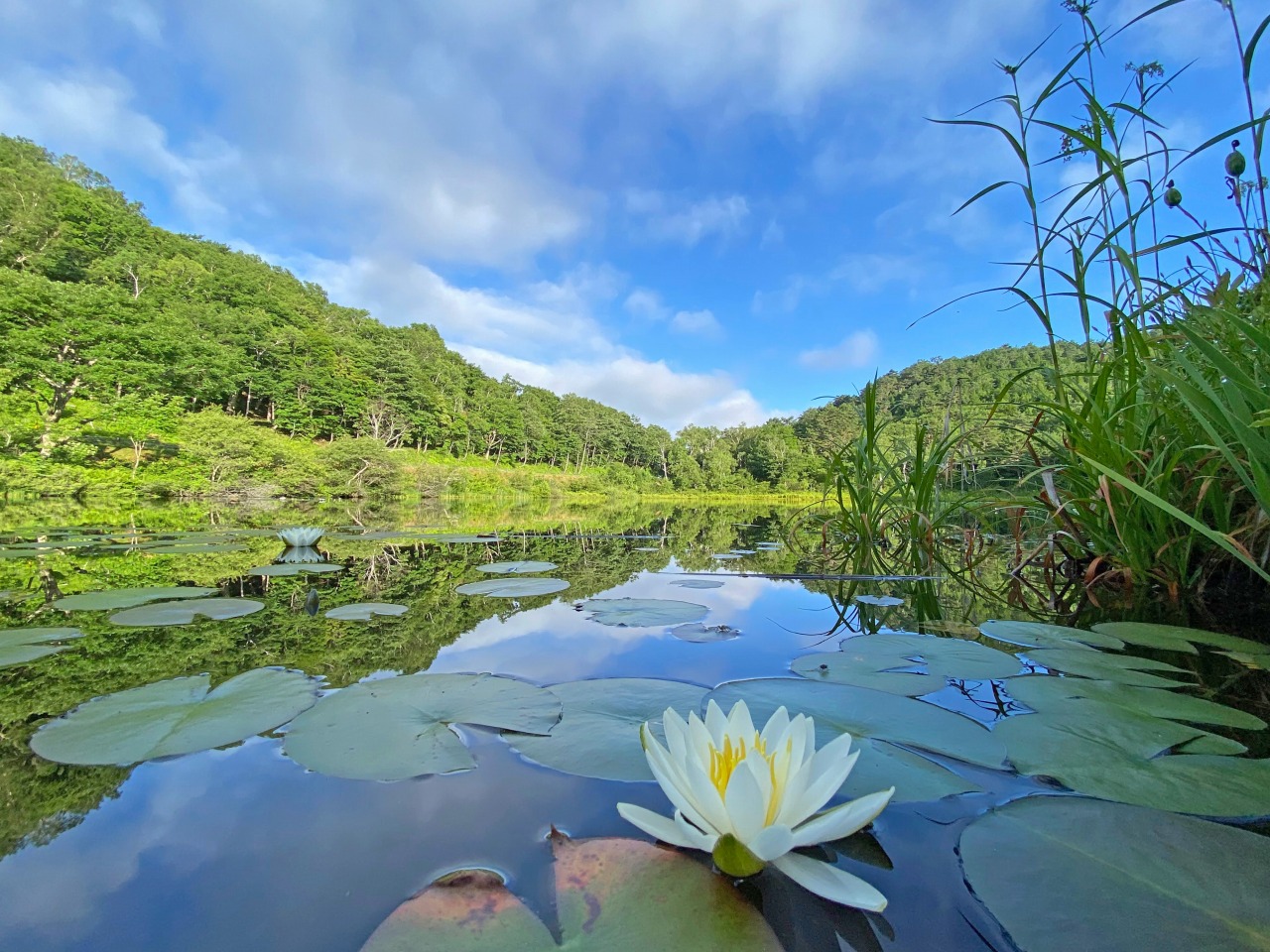 サンシャイントレイル・旭山コース/Sunshine Trail – Asahiyama Course