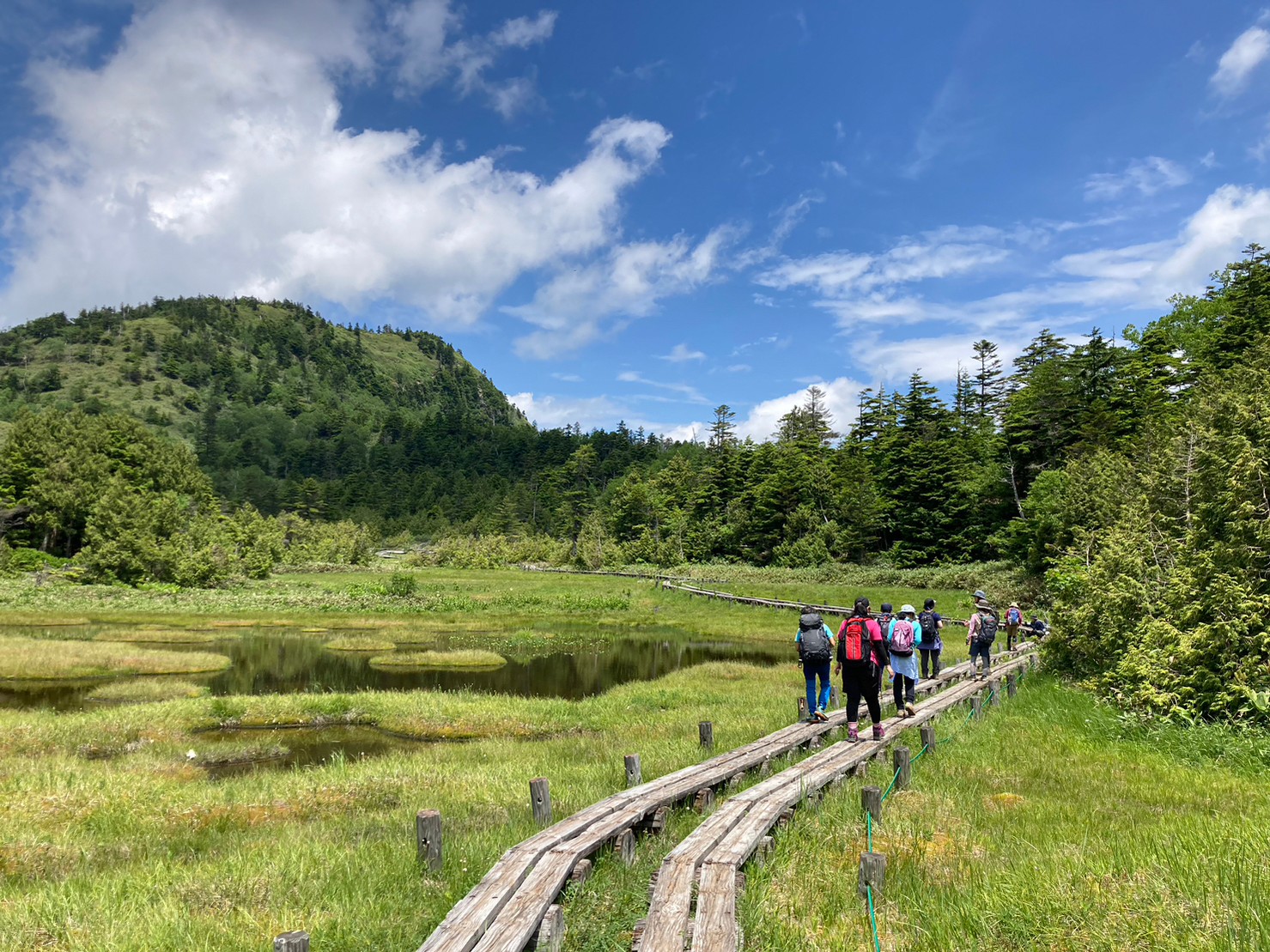 四十八池湿原・大沼池コース/Shijuhachi-ike Wetland and Onuma Pond Course