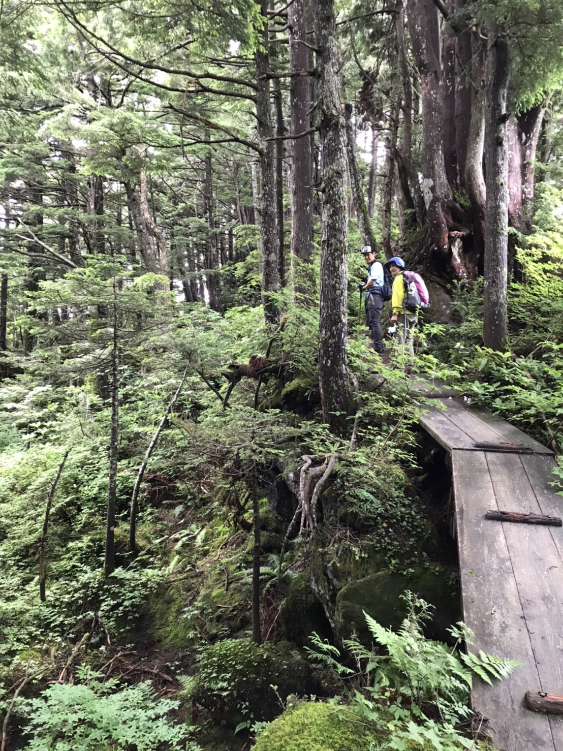 まが玉の丘/Magatama no oka