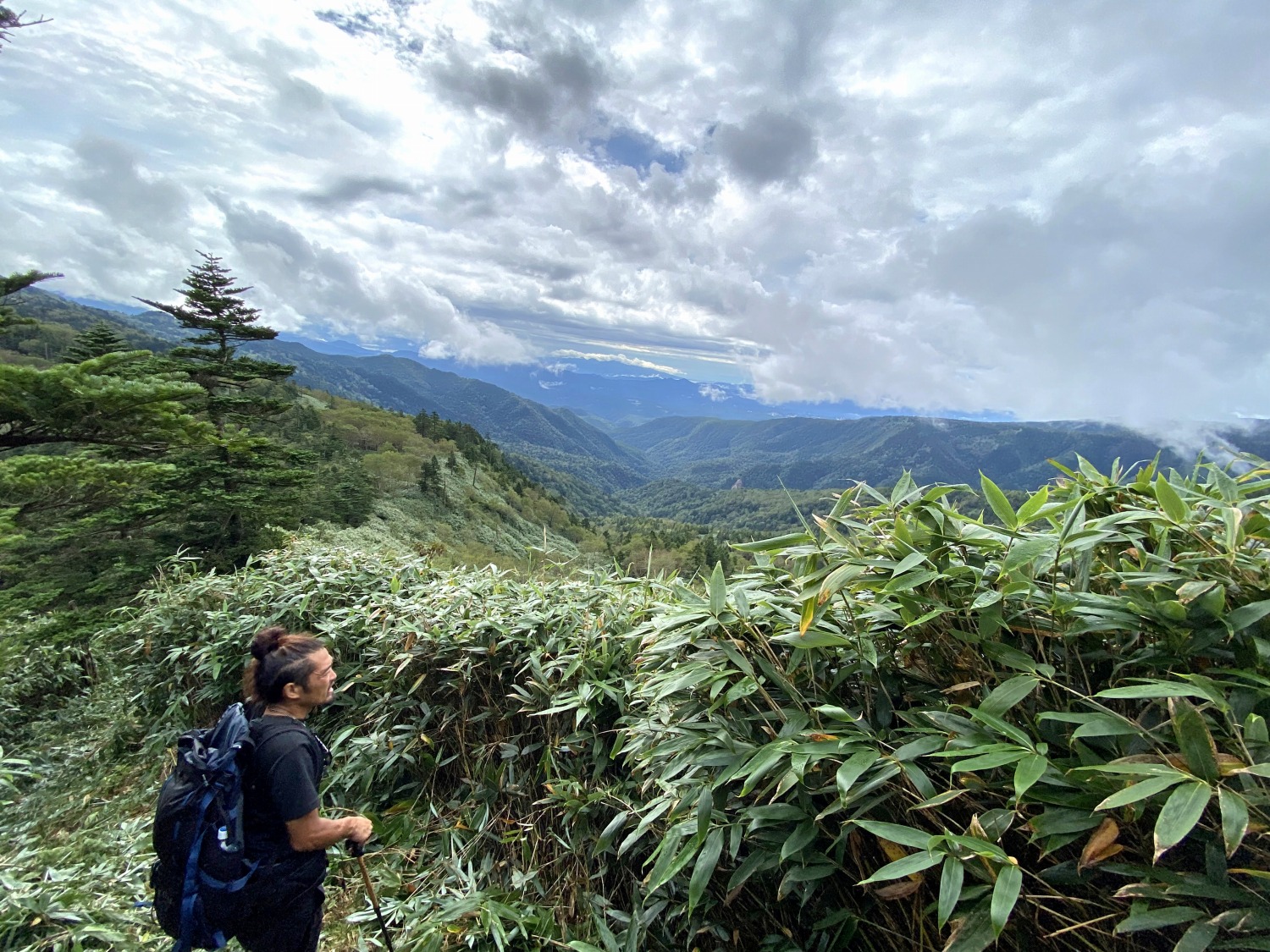 赤石山-ダンザワの頭刈払い作業が終了しました/The brush clearing work on Akakishi Mountain – Danzawa-no kashira has been completed.