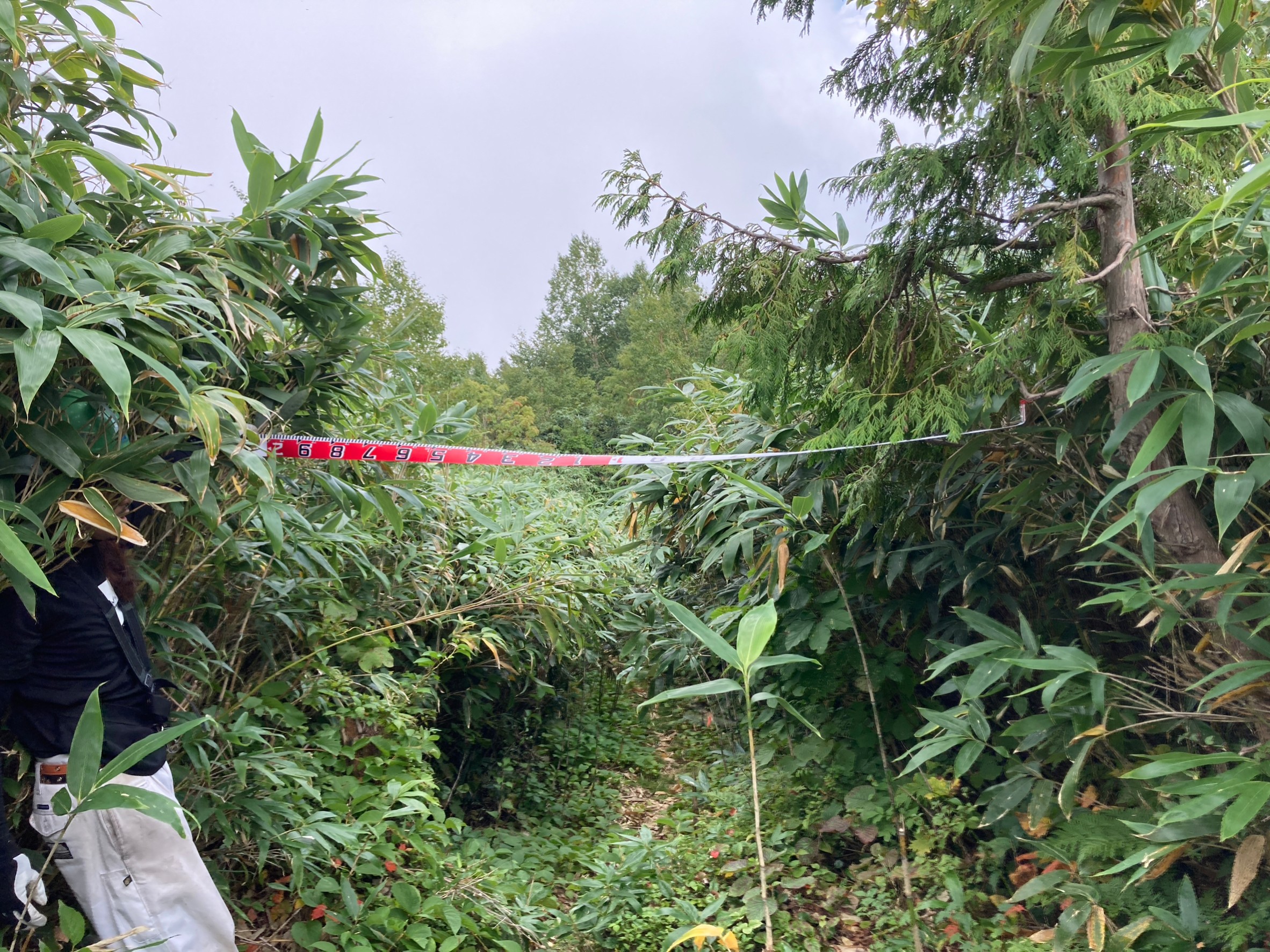 岩菅山-切明縦走路刈払い作業進捗状況Vol.1/Brush-Clearing Progress Report for Mt.Iwasuge to Kiriake-onsen Trail