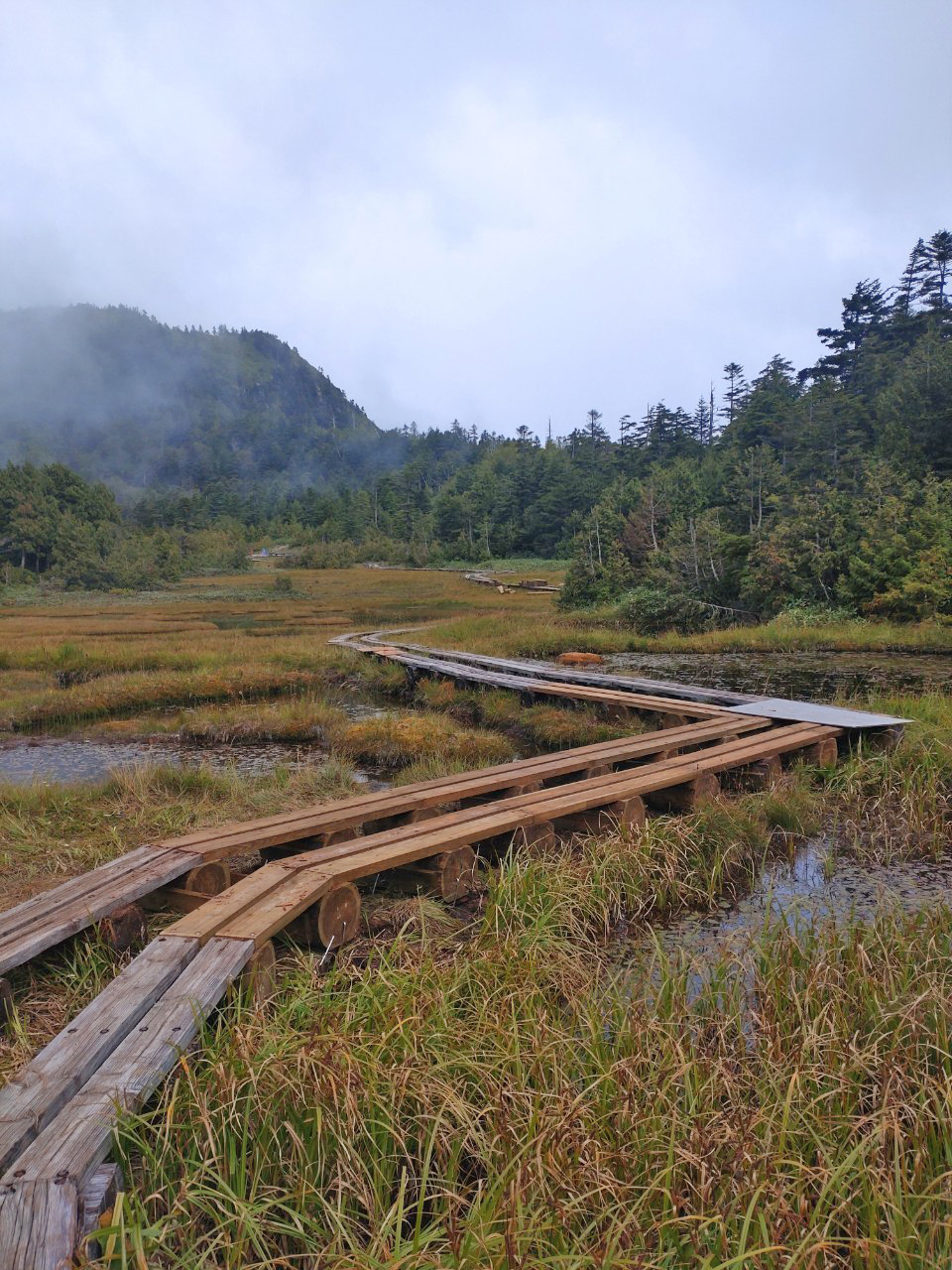 四十八池湿原の木道修繕工事が始まりました/The maintenance work on the boardwalk at the Shijuhachi-ike Wetland has begun.