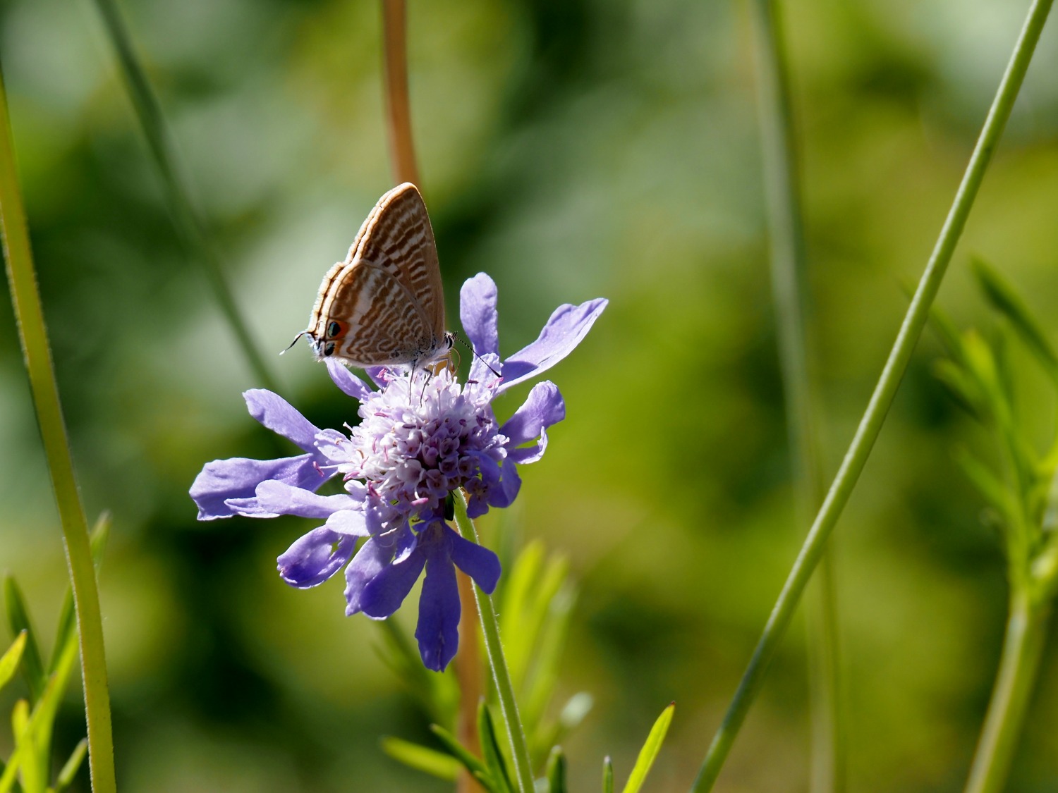 自然の変化/Nature’s Changes