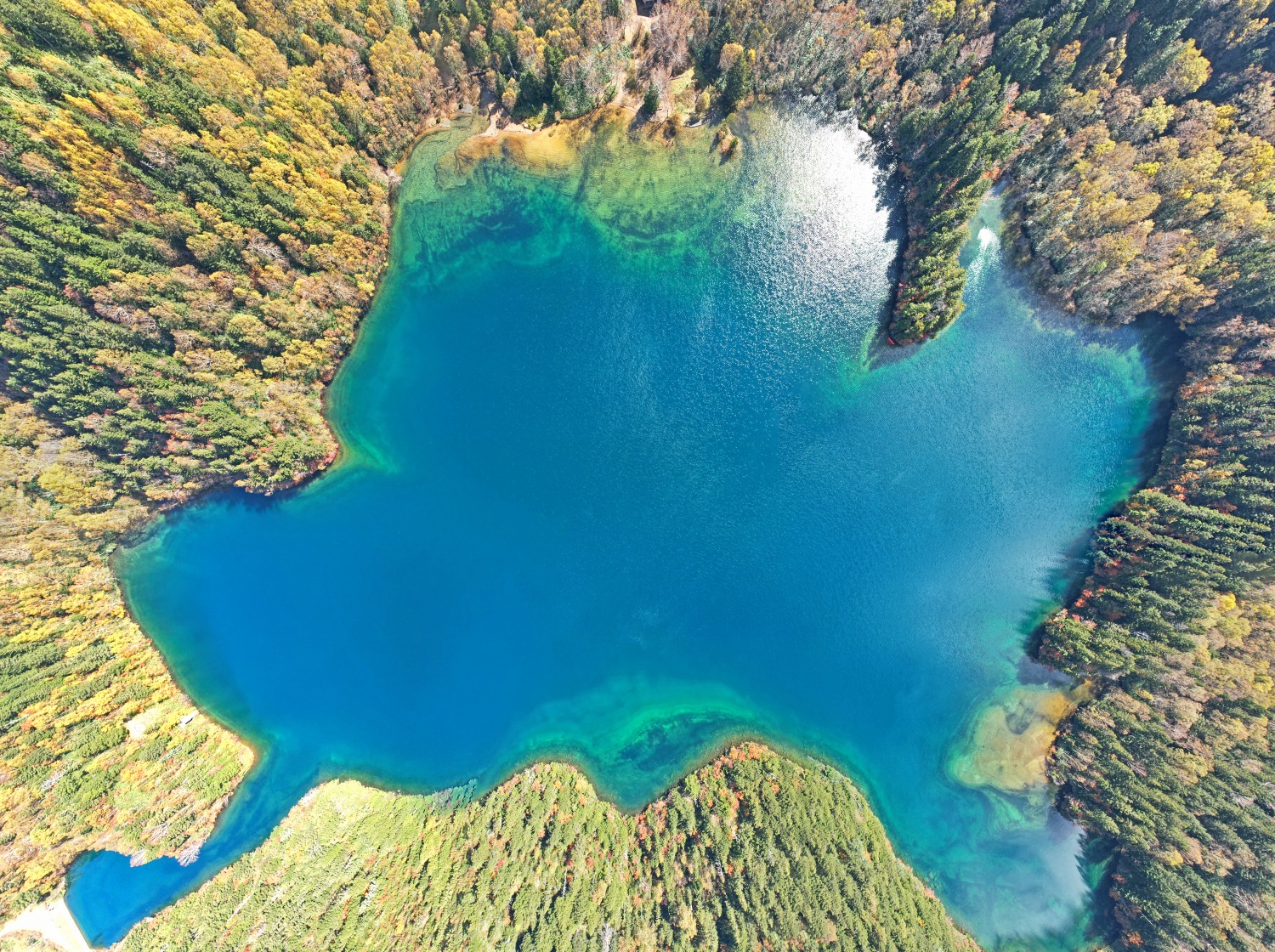 10月17日紅葉情報/October 17th Fall Foliage Update