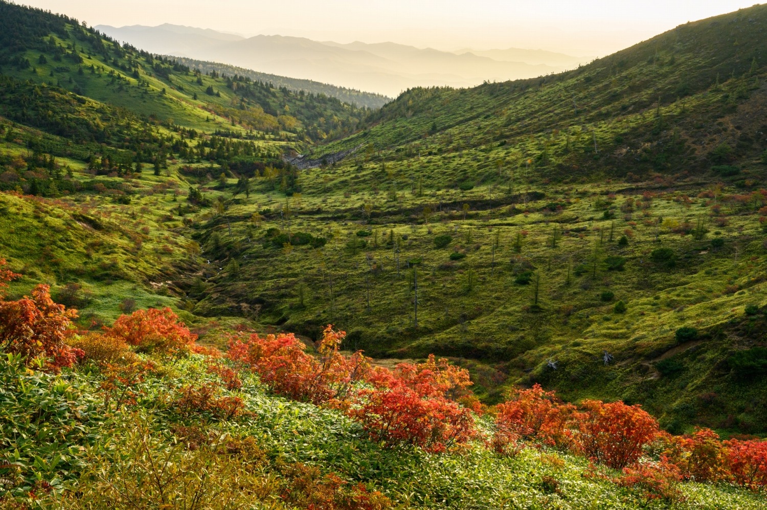 10月9日紅葉情報/October 9th Fall Foliage Update