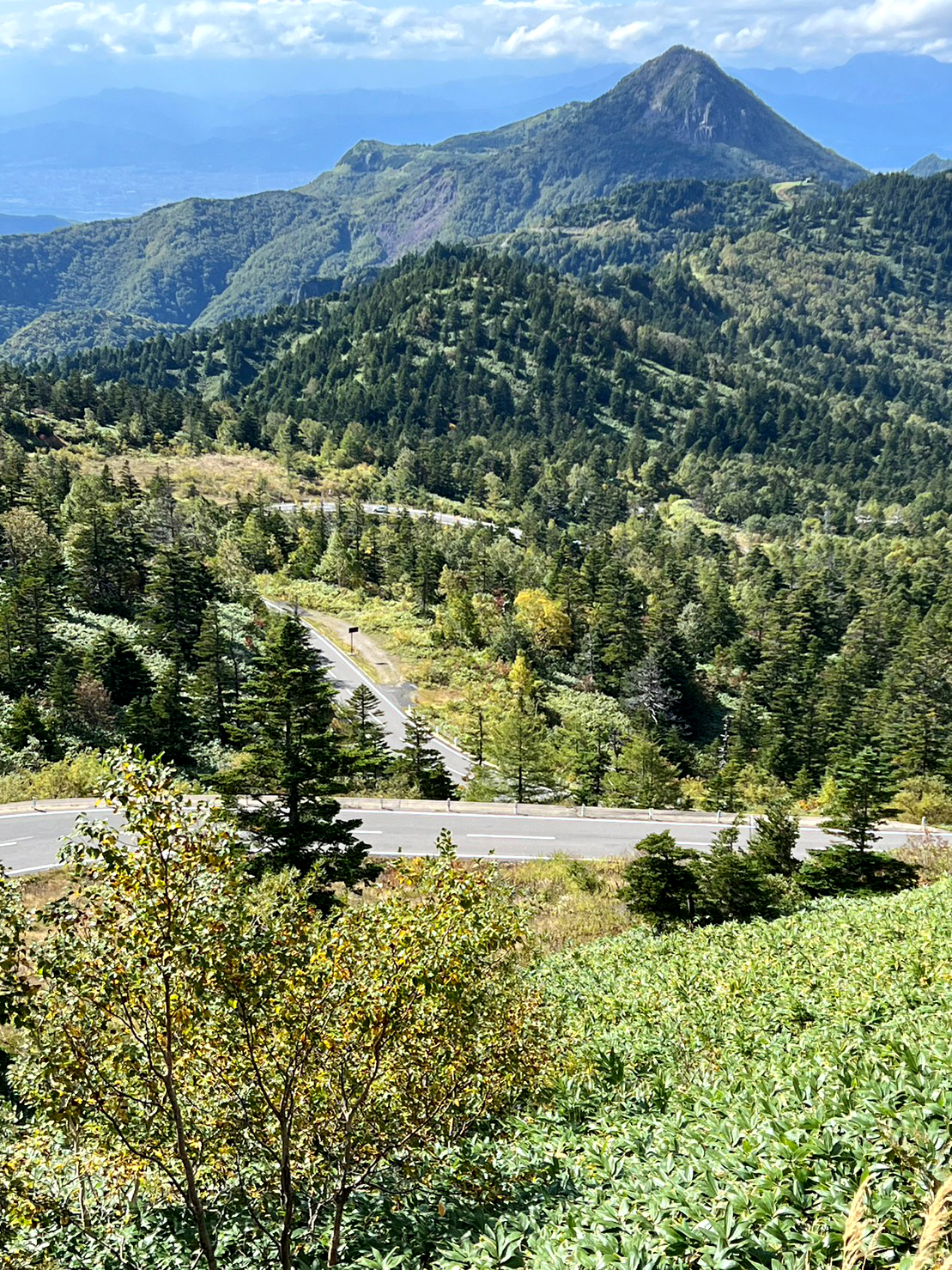 10月2日紅葉情報/October 2nd Fall Foliage Update