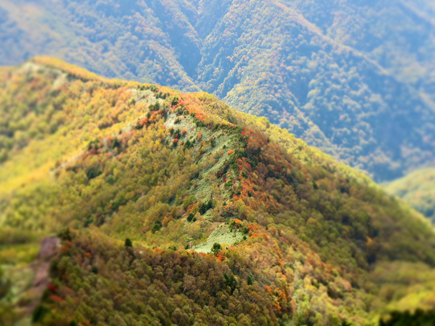 10月13日紅葉情報/October 13th Fall Foliage Update