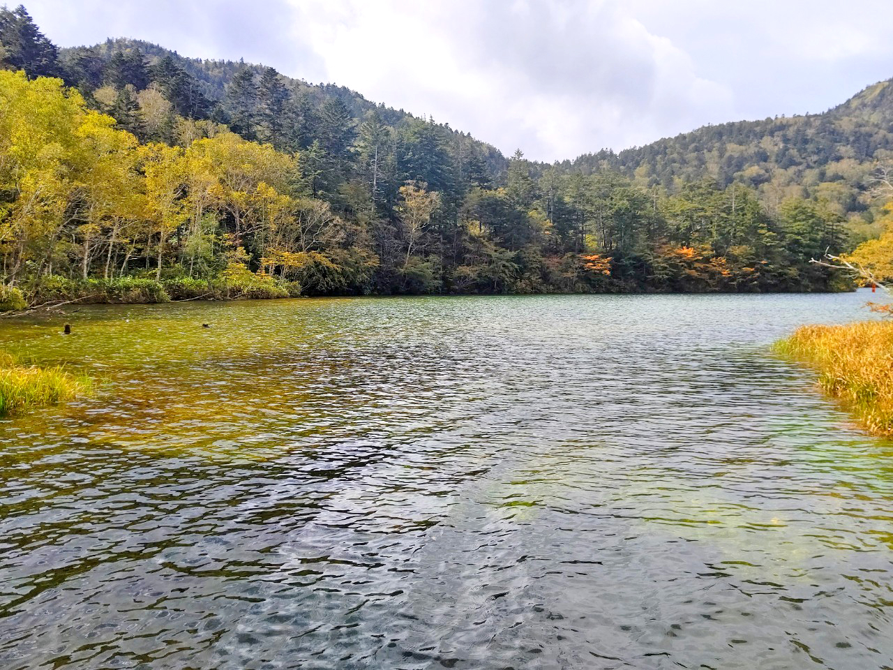 10月5日紅葉情報/October 5rd Fall Foliage Update