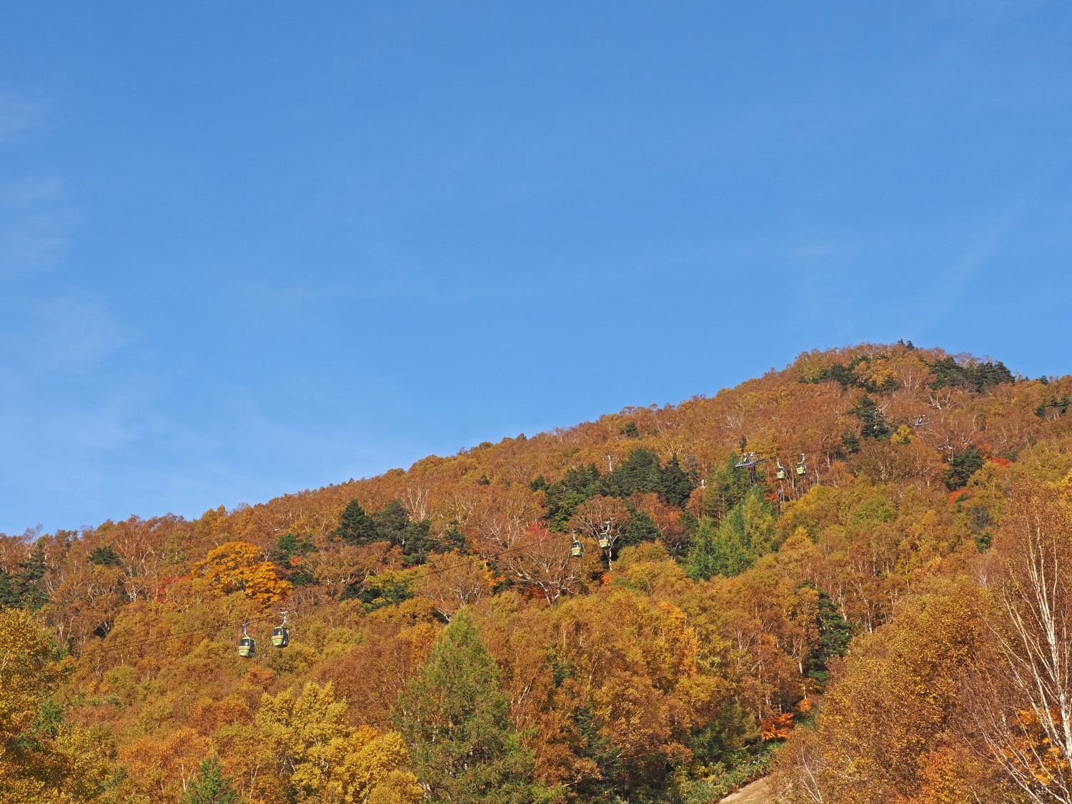 10月18日紅葉情報/October 18th Fall Foliage Update