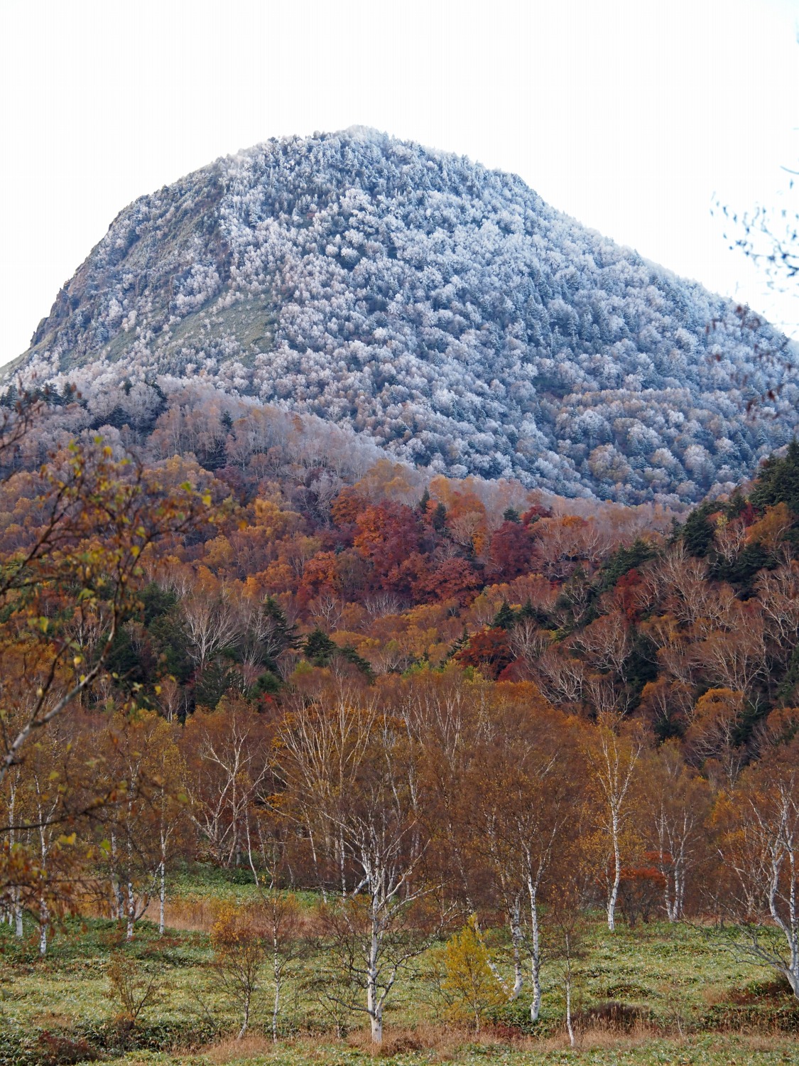 10月22日紅葉情報/October 22th Fall Foliage Update