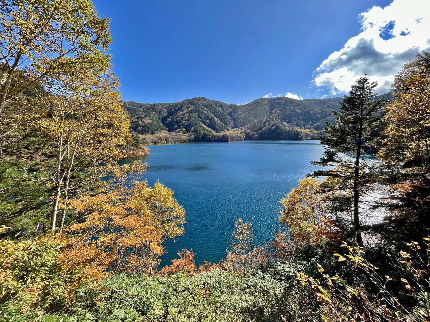 大沼池　水量調査/Onuma Pond Water Level Survey