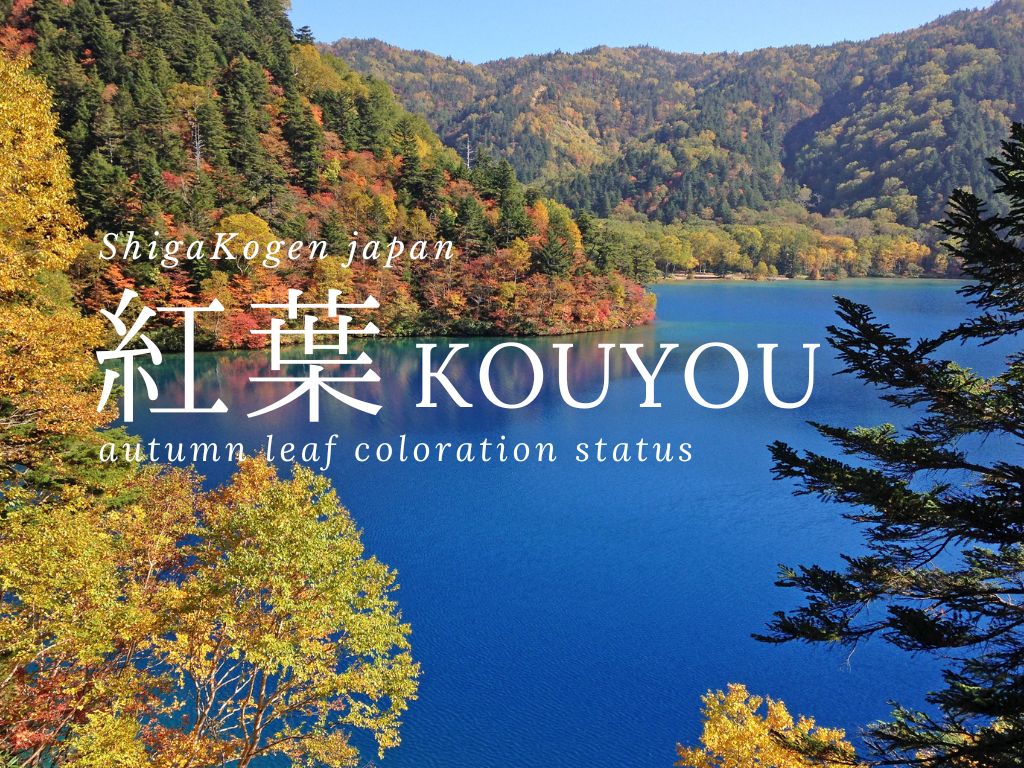 2025年紅葉モニタリング予想