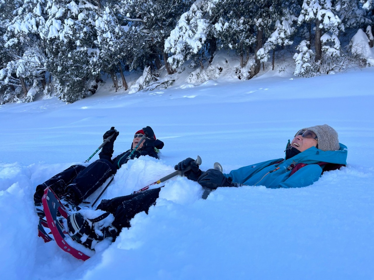 スノーシューガイドツアー11/Snowshoe Tour report11