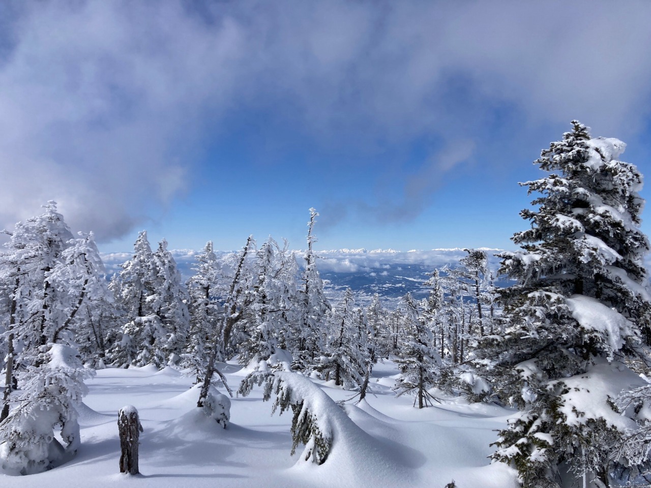 スノーシューガイドツアー35/Snowshoe Tour report35