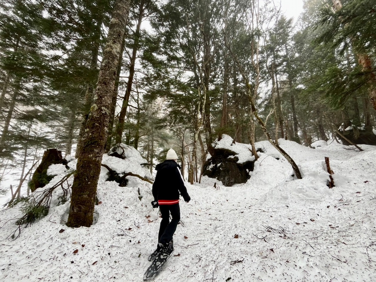 スノーシューガイドツアー44/Snowshoe Tour report44