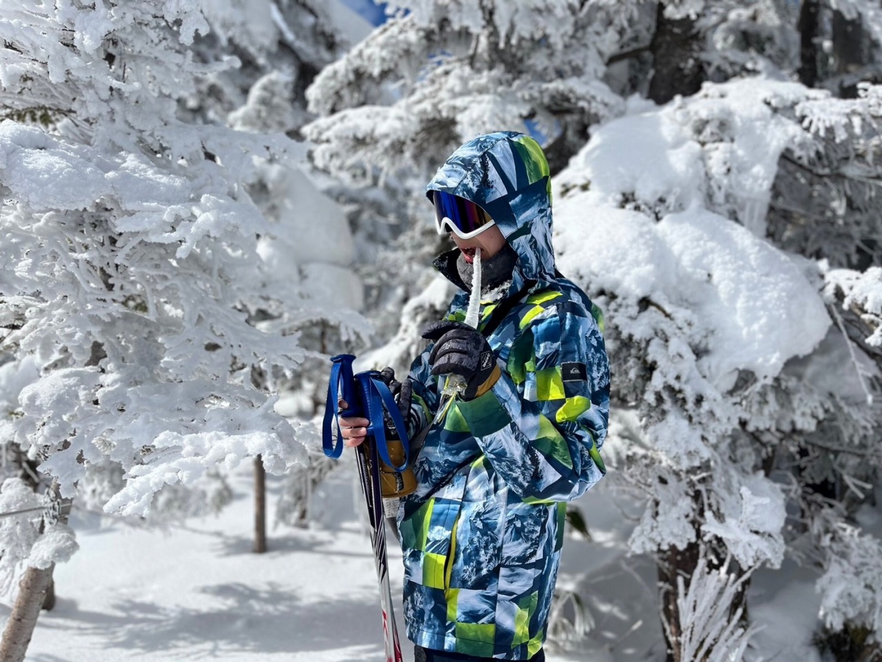 スノーシューガイドツアー36/Snowshoe Tour report36