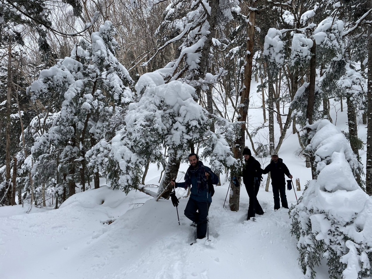 スノーシューガイドツアー51/Snowshoe Tour report51
