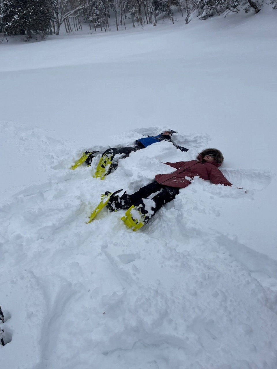 スノーシューガイドツアー54/Snowshoe Tour report54