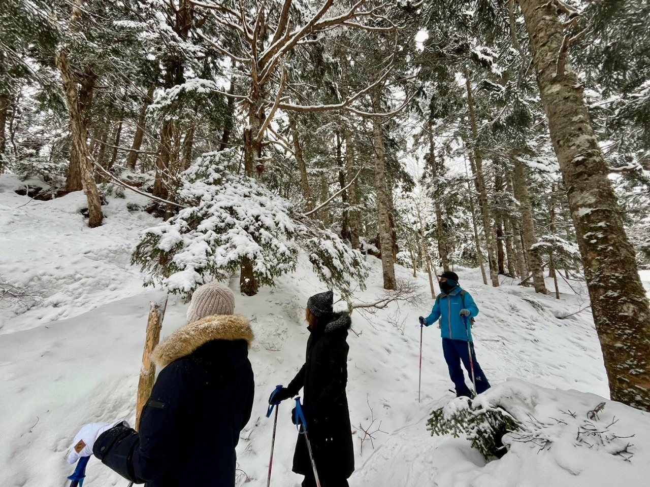 スノーシューガイドツアー48/Snowshoe Tour report48